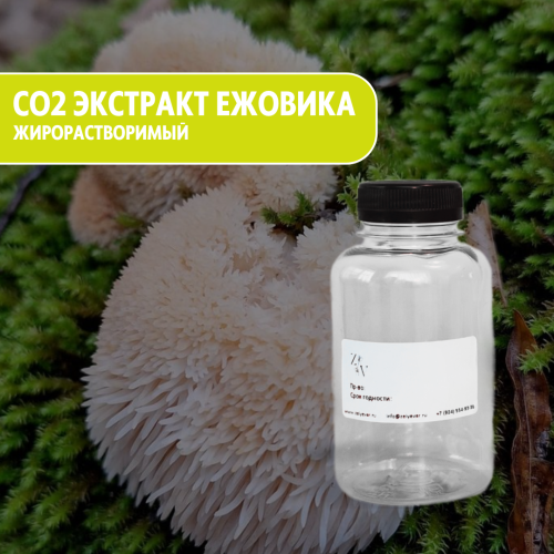 CO2 жирорастворимый экстракт ежовика