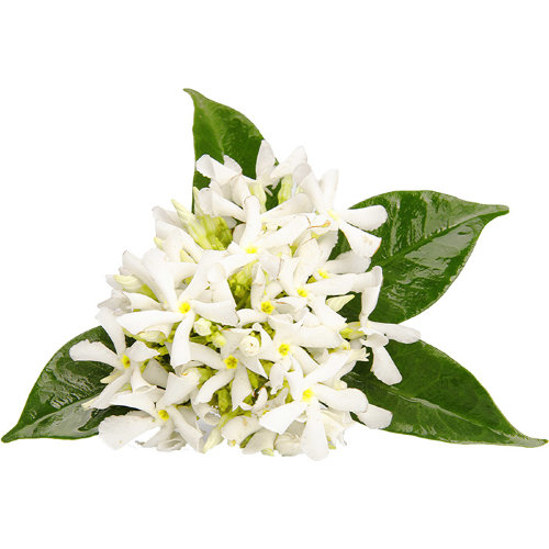 Гидролат Нероли  